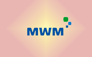 ✓ MWM 0330 7538 Запчасть MWM 